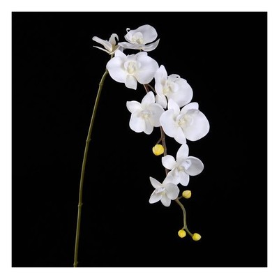 Orchidée phalaenopsis artificielle blanc pur